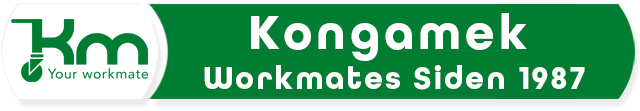 Banner Kongamek Workmates LOW4 640 JPG.jpg